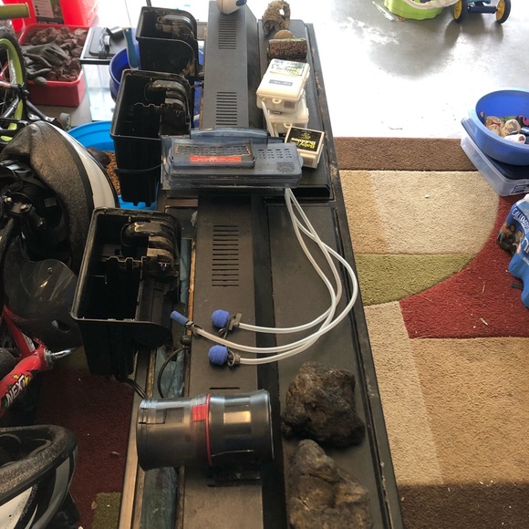 65 gallon fish tank - Picture 2 of 8